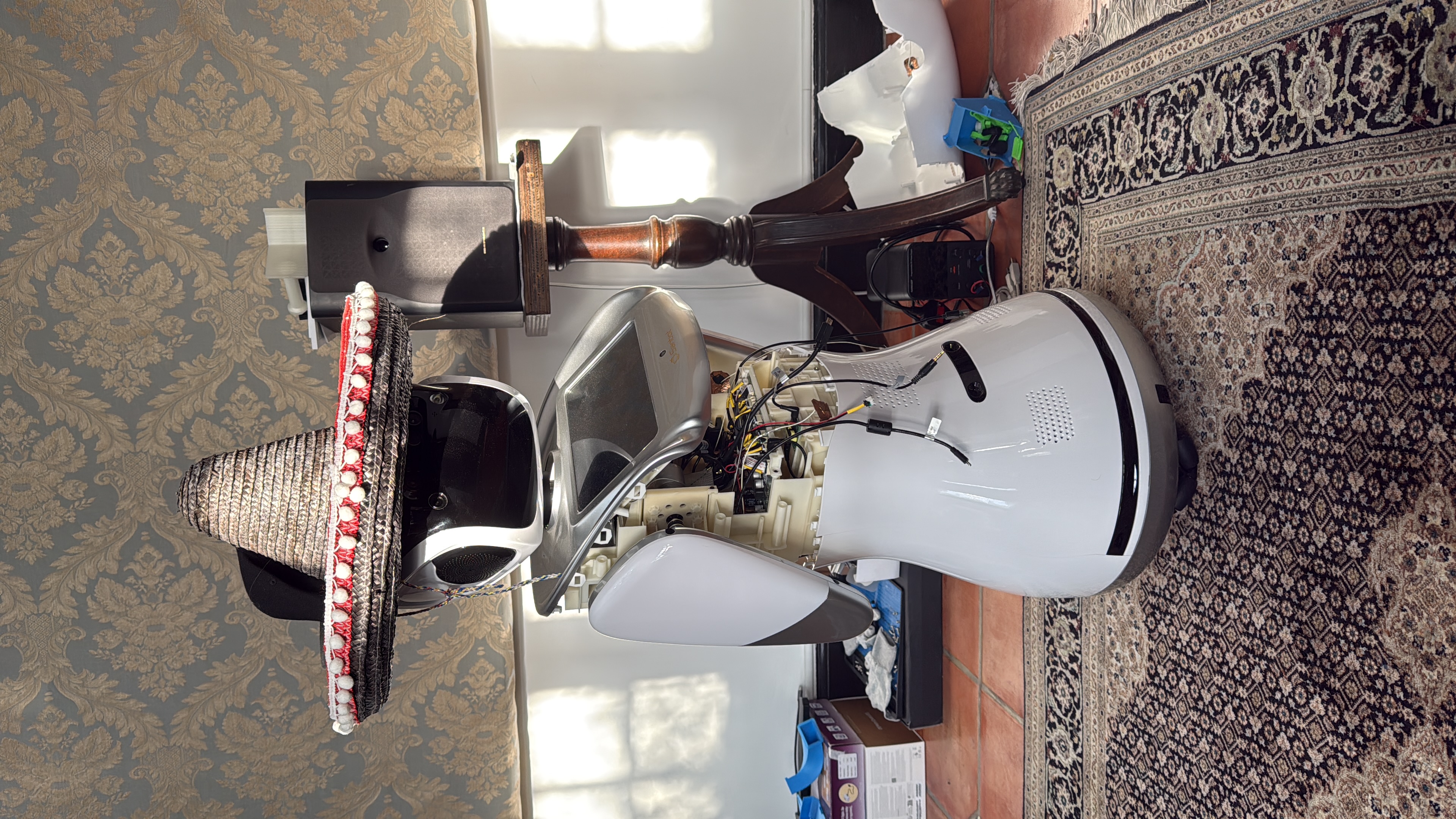 Sanbot, midway through development